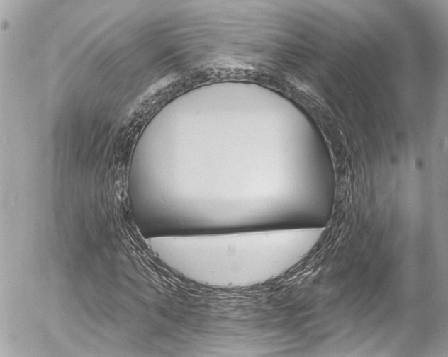 X0000058830870200509300938