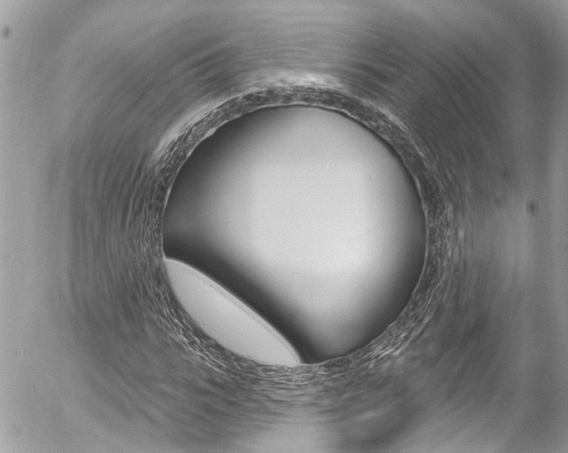 X0000058830919200509300937