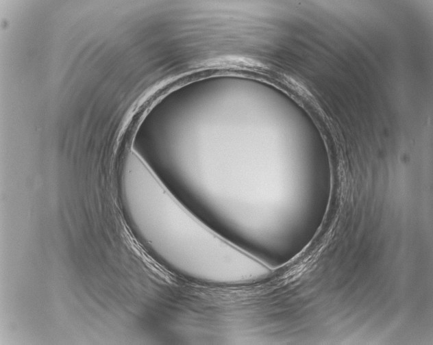 X0000058830931200509300937