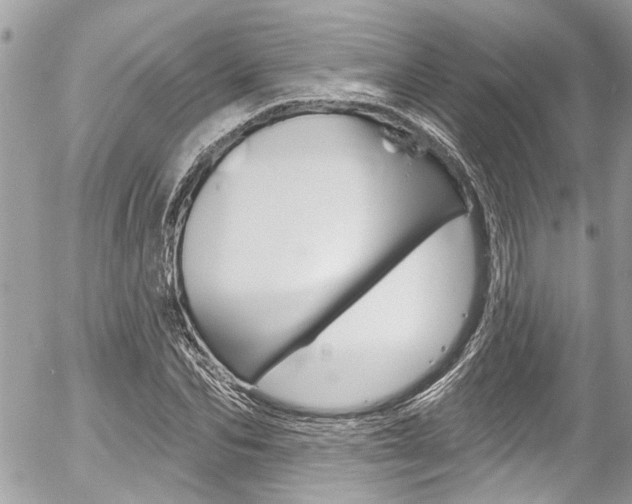 X0000058830974200509300937