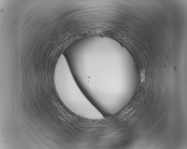 X0000058831011200509300935