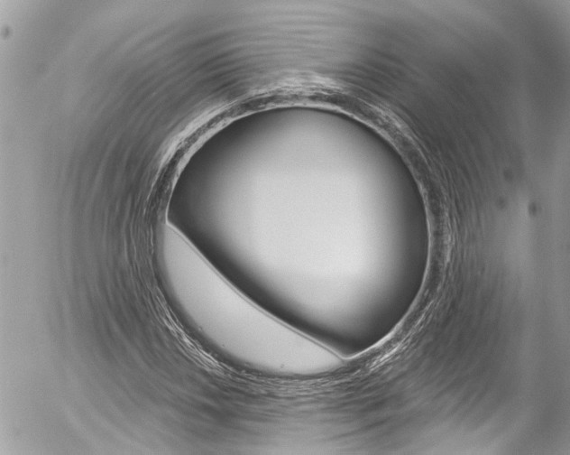X0000058831018200509300936