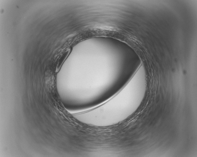 X0000058831061200509300935