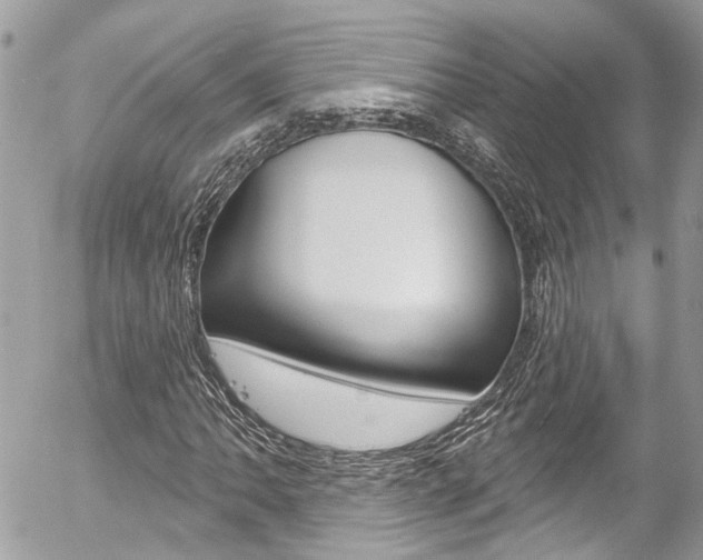 X0000058831062200509300935