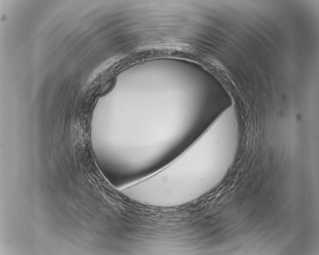 X0000058831064200509300935