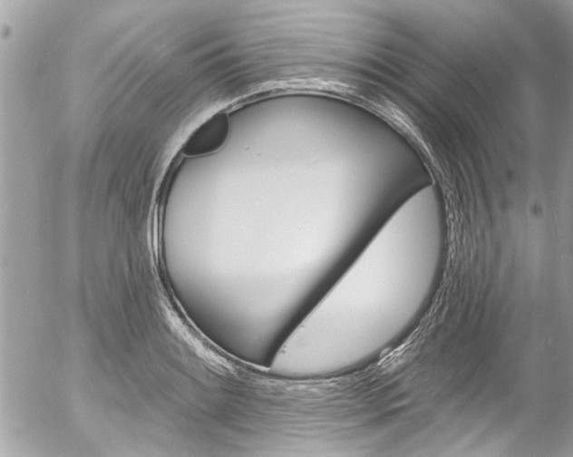 X0000058831084200509300935