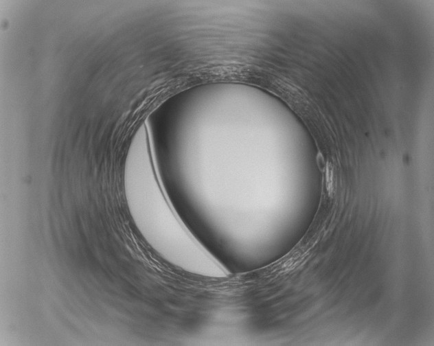 X0000058831107200509300934