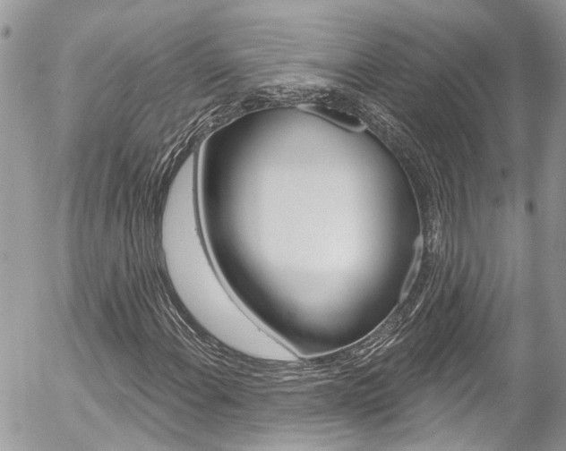 X0000058831108200509300934