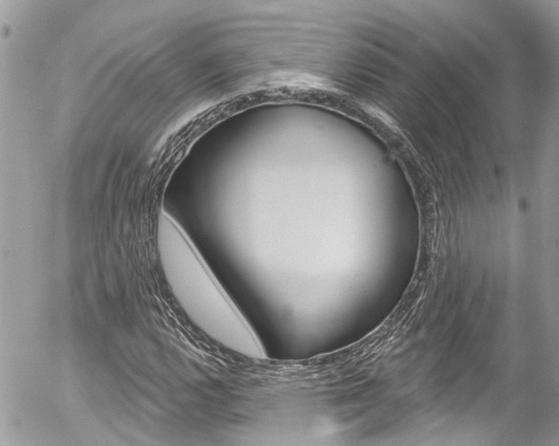 X0000058831112200509300934