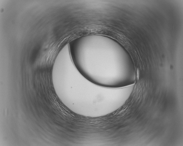 X0000058831155200509300934