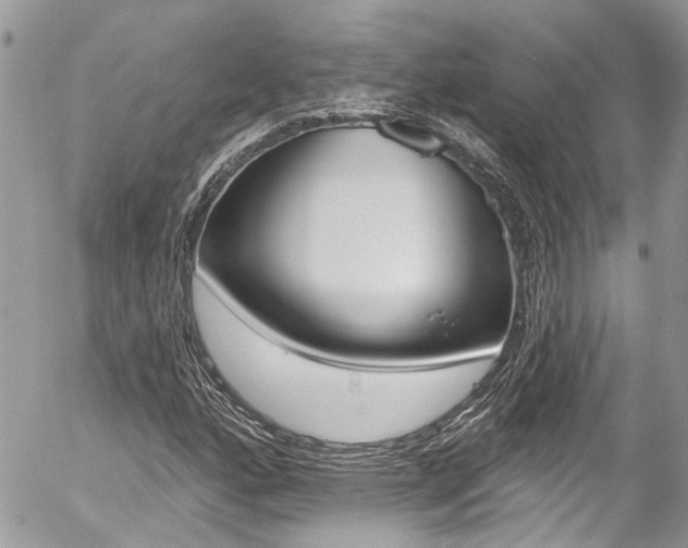 X0000058831160200509300934
