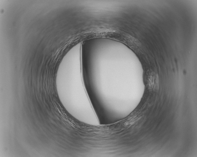 X0000058831204200509300932
