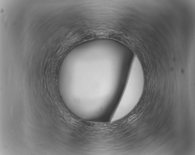 X0000058831249200509300932