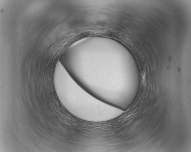 X0000058831251200509300932