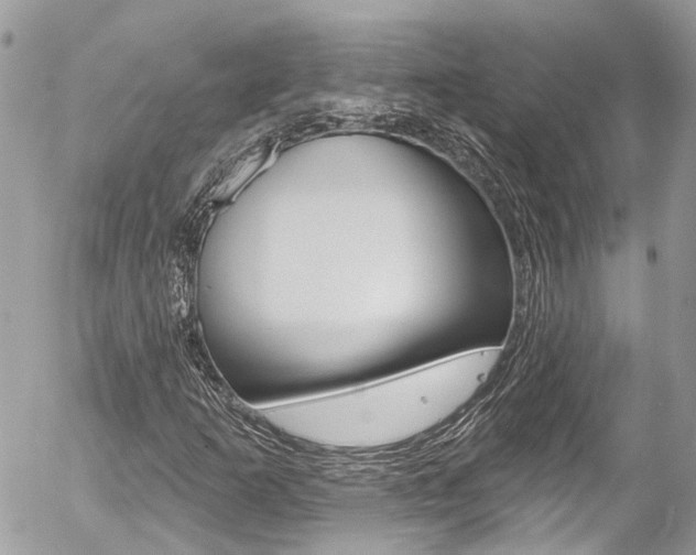 X0000058831253200509300932