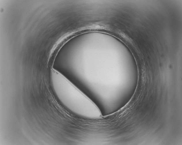 X0000058831270200509300932