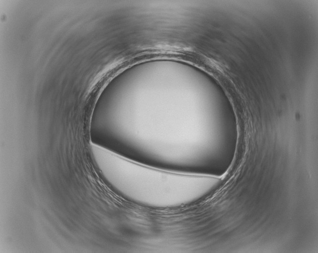 X0000058831307200509300931