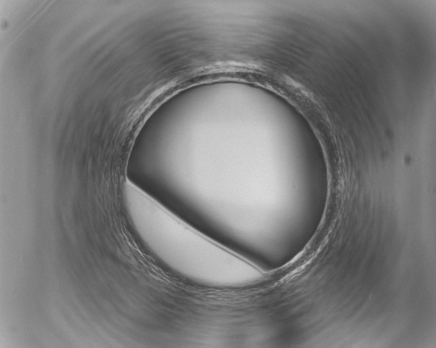 X0000058831313200509300931