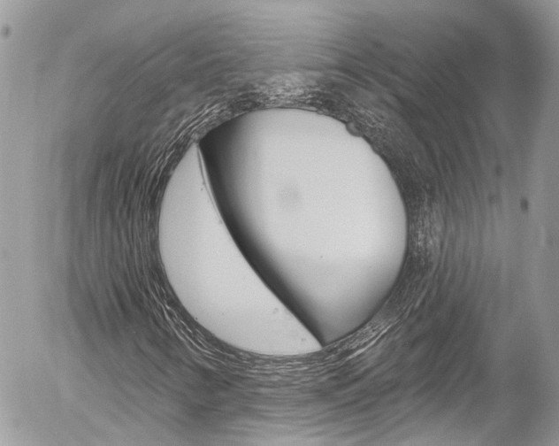 X0000058831346200509300931