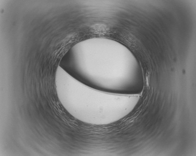 X0000058831347200509300931