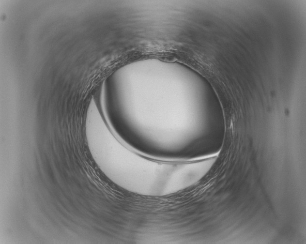 X0000058831348200509300931