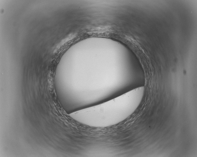 X0000058831350200509300930