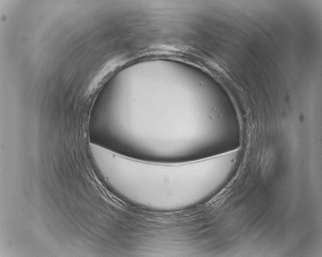 X0000058831355200509300930