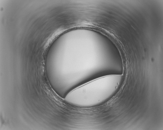 X0000058831363200509300930
