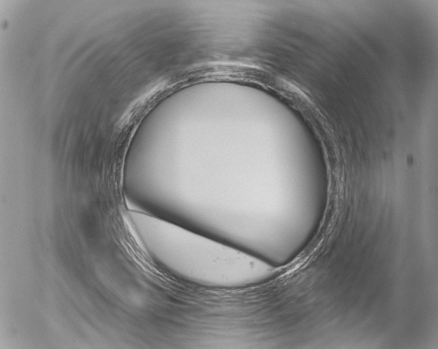 X0000058831403200509300929