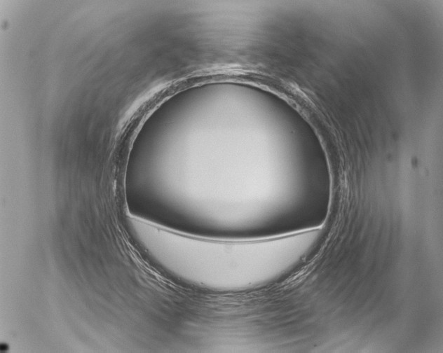 X0000058831406200509300929