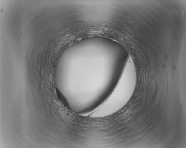 X0000058831441200509300929