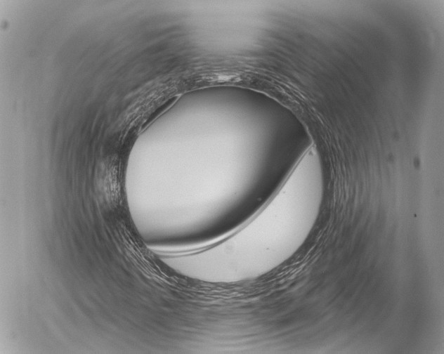 X0000058831442200509300929