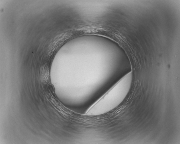 X0000058831444200509300929