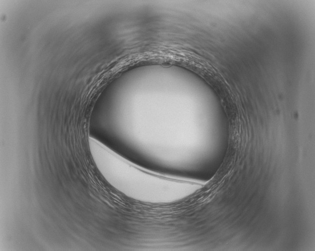 X0000058831490200509300927