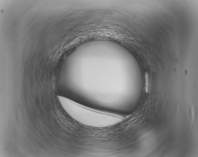 X0000058831491200509300927