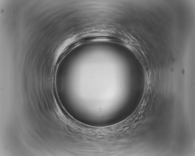 X0000058830003200509301233