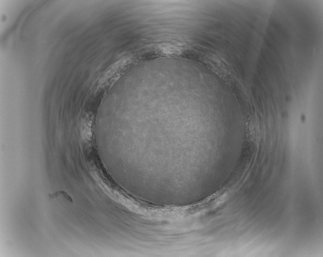 X0000058830032200509301232