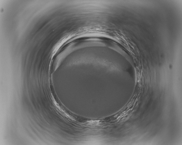 X0000058830052200509301231