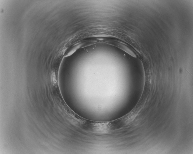 X0000058830089200509301232