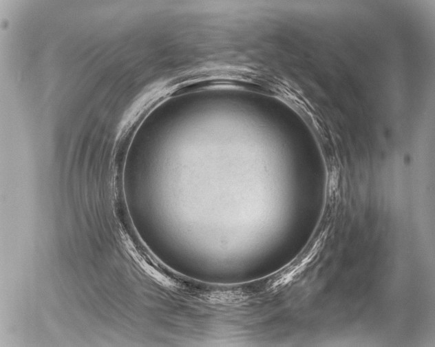 X0000058830101200509301231