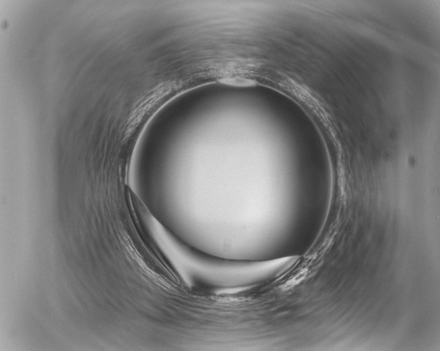 X0000058830105200509301231
