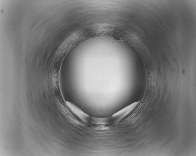 X0000058830138200509301230