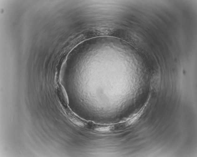 X0000058830178200509301230