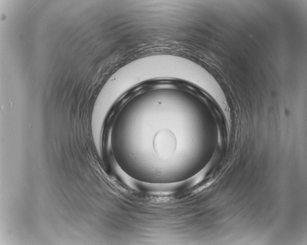 X0000058830185200509301230