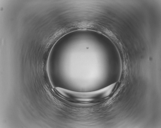 X0000058830201200509301229