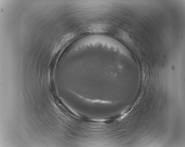 X0000058830202200509301229