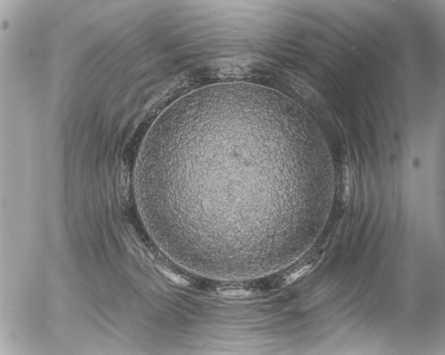 X0000058830228200509301229