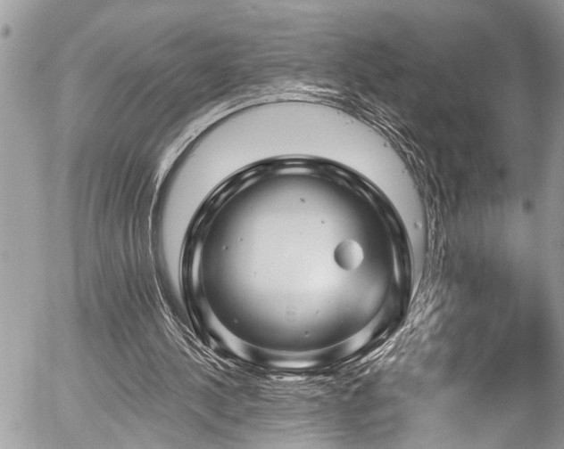 X0000058830244200509301228