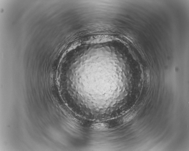 X0000058830269200509301228