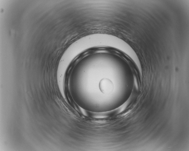 X0000058830287200509301228